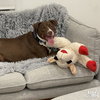 Gilligan - Photo 4