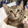 Ruckus - Photo 3