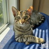 Ruckus - Photo 1