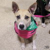 Penelope - Photo 4