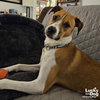 Lemuel - Photo 4