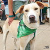 Marley - Photo 1
