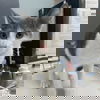 adoptable Cat in Washington, DC named Obsidian