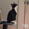 Little Armando - Photo 4