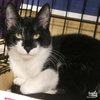 Little Armando - Photo 1