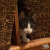 Little Betty - Photo 3