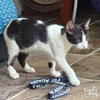 Little Betty - Photo 4