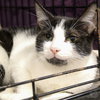 Little Betty - Photo 2