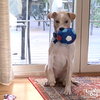 Tana - Photo 4