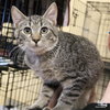 Zander - Photo 3