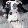 Ebbie - Photo 2