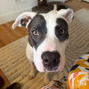 Ebbie - Photo 3