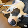 Ebbie - Photo 4