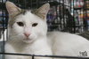 Bittie Casper - Photo 1