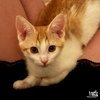 Bonny - Photo 4
