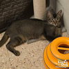 Manny - Photo 4