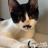 William - Photo 2