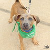 Willie - Photo 2