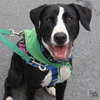 Lily - Photo 1