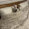 Penny - Photo 3