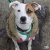 Penny - Photo 4