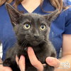 Zen - Photo 3