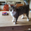 Precious - Photo 4