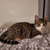 Precious - Photo 5