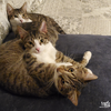 Precious - Photo 3
