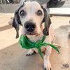 Elroy - Photo 1