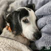 Elroy - Photo 3