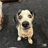 Elroy - Photo 2