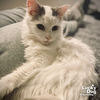 Patches - Photo 2
