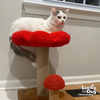 Patches - Photo 4
