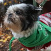 Rambo - Photo 3