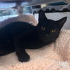 Mirabella - Photo 1