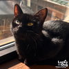 Lunchable - Photo 2