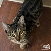 Sinbad - Photo 2