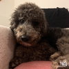 Gunther - Photo 2
