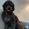Gunther - Photo 3
