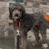 Gunther - Photo 4