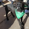 Tyrone - Photo 2