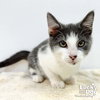 Carmello - Photo 3