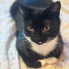 Slinky - Photo 2