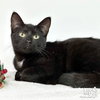 Nora - Photo 2
