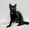 Nora - Photo 3