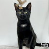Nora - Photo 4