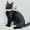 Nancy - Photo 1