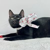Nancy - Photo 2