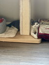 Izara - Photo 3